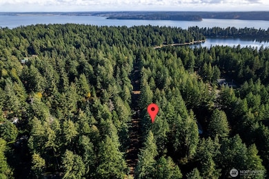 11324 Laurel Place, Anderson Island, WA 98303 - photo 4