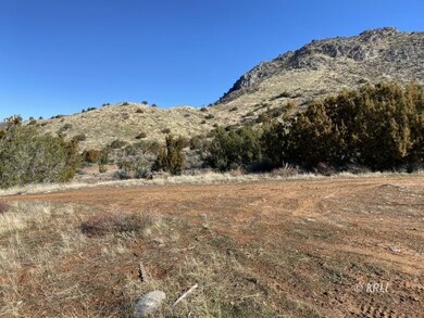 0000 Acorn Dr, Bodfish, CA 93205 - photo 4