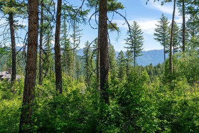 227 Chief Cliff Trail, Bigfork, MT 59911 - photo 5