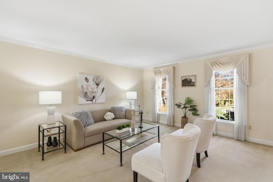 4110 John Trammell Ct, Fairfax, VA 22030 - photo 4