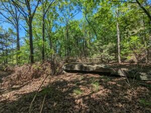 TBD 7A Spring Creek Trail, Cecil, AR 72930 - photo 7