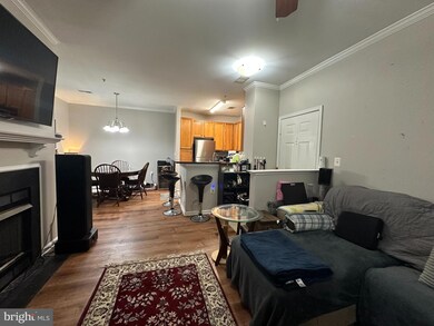 1516 N Point Dr unit 101, Reston, VA 20194 - photo 3