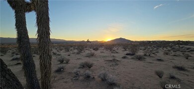 1 Belmont St, Joshua Tree, CA 92252 - photo 4