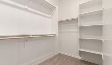  Larimar-Lot18-SeasonsAtTrevino Closet 