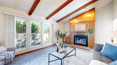 214 Poppy St, Golden, CO 80401 - photo 6