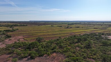Kickapoo Rd, Bronte, TX 76933 - photo 4