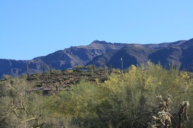 IMG_8720