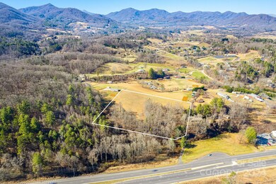 99999 Old Farmstead Trail, Leicester, NC 28748 - photo 7