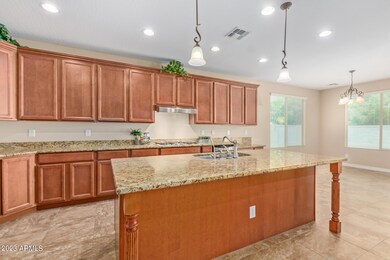 556 W Sweet Shrub Ave, San Tan Valley, AZ 85140 - photo 6