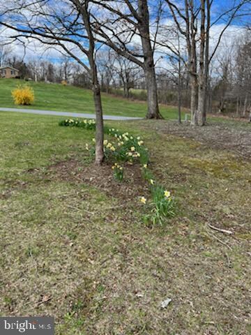 0 Tanglewood Dr unit WVHD2000748, Old Fields, WV 26845 - photo 3