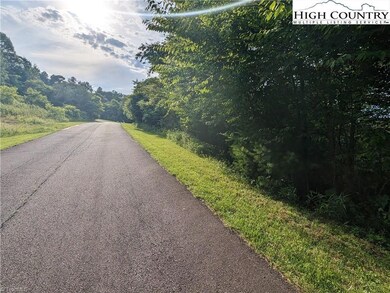 Lot 5 Briarwood Ln, Sparta, NC 28675 - photo 6