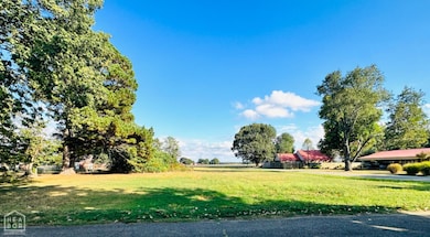 300 McDonial, Tuckerman, AR 72473 - photo 4