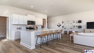 289 Bluff View Ln, Florence, SC 29505 - photo 6