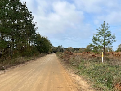 --1 Irving Rd, Batesburg-Leesville, SC 29006 - photo 7