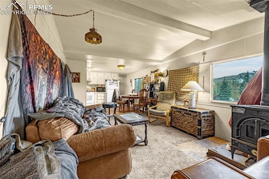 235 Whalen Ave, Cripple Creek, CO 80813 - photo 3