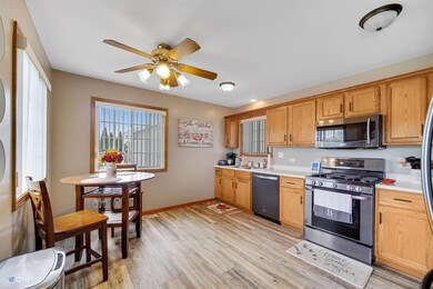 1407 Rokosz Ln, Dyer, IN 46311 - photo 6