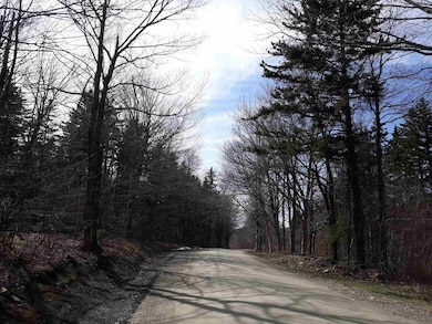 0 W Hill Dr unit 4798227, Readsboro, VT 05350 - photo 4