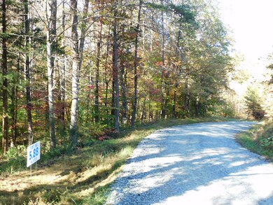 5.88 Grassland Dr, Sandy Level, VA 24161 - photo 4