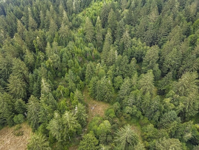 000 Williams Creek Rd, Ferndale, CA 95536 - photo 4