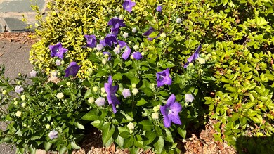 16 Acadia St, Dexter, ME 04930 - photo 6