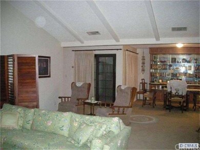 LARGE GREAT ROOM LIVING ROOM