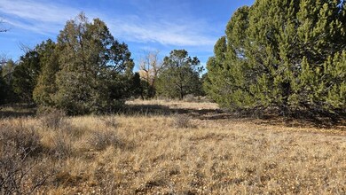 126 Cedar Ridge Rd, Mosca, CO 81146 - photo 2
