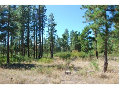 0 Pine Creek Rd unit 3 12336471, Bickleton, WA 99322 - photo 7