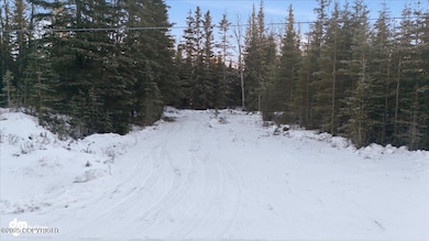 1208 Kaknu Way, Kenai, AK 99611 - photo 5