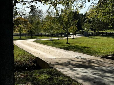 540 Cave Spring Rd, Nicholasville, KY 40356 - photo 3