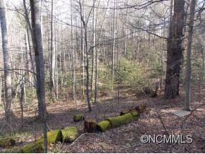 1537 Pleasant Grove Rd, Hendersonville, NC 28739 - photo 3