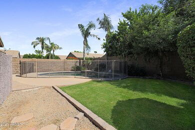 Grassy Back Yard