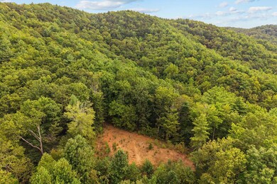 0 Grassy Mountain Rd unit 1521379, Chatsworth, GA 30705 - photo 5