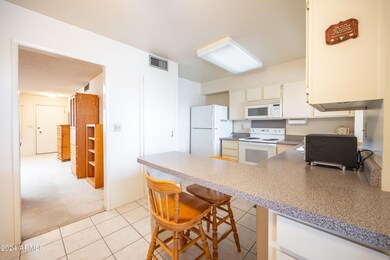 13856 N Newcastle Dr, Sun City, AZ 85351 - photo 4