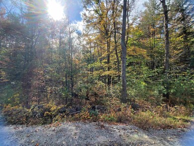 0 Windsor Rd unit 9 4887482, Hillsborough, NH 03244 - photo 5