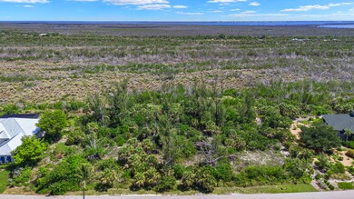 Aerial view of property's location featuring a heavily wooded area