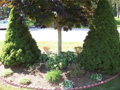 Yard/Garden.