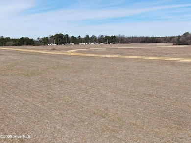 00 Trail End Ln, Newton Grove, NC 28366 - photo 3