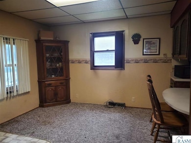 13118 County Road 24 unit New Ulm, New Ulm, MN 56073 - photo 4