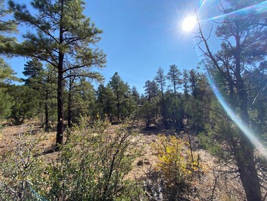 Trailhead