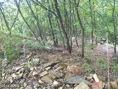 0 Bald Eagle Ln unit 1003177570, Great Cacapon, WV 25422 - photo 6