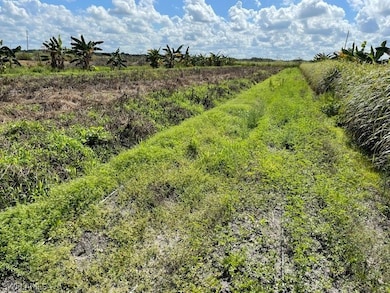 View of landscape