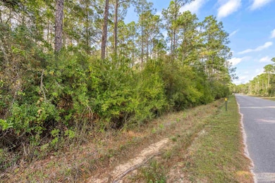 00 Mullet Dr, Freeport, FL 32439 - photo 7