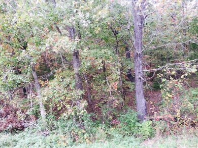 0 Hwy Y unit 17084827, Saint Robert, MO 65584 - photo 3