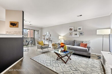 13 Burberry Cir unit 426, Schaumburg, IL 60173 - photo 4