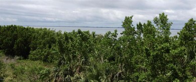 IMG_3524