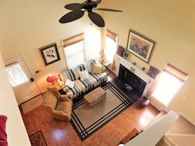 03 - Living Aerial