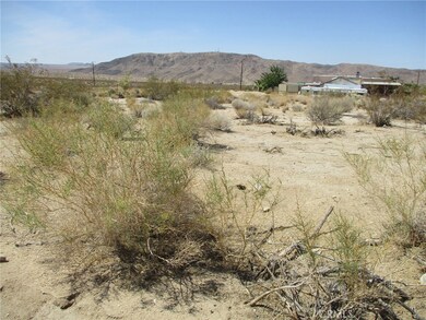6888 Peterson Rd, Twentynine Palms, CA 92277 - photo 4