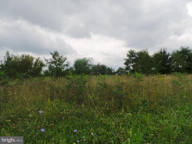 9 Timber Ridge Rd--Meadow Ln, Berkeley Springs, WV 25411 - photo 3