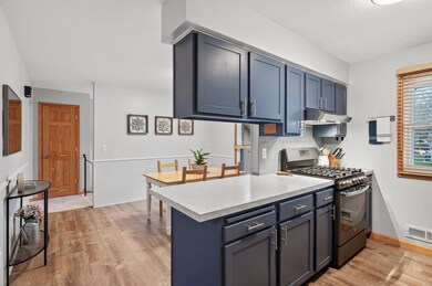 10453 101st Place N, Maple Grove, MN 55369 - photo 5