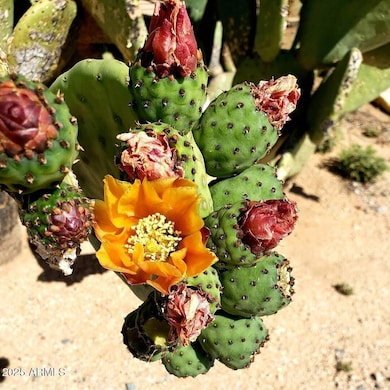 00_00 N 217th Ave, Wittmann, AZ 85361 - photo 7